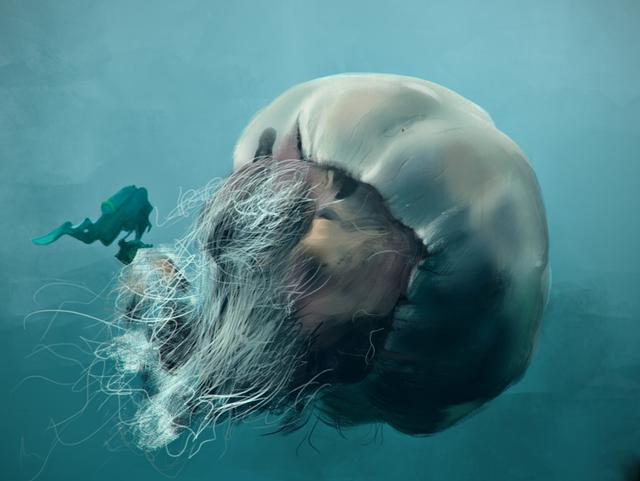 最大的海洋生物，古代最大的海洋生物是什么（体型最大的5种海洋生物）