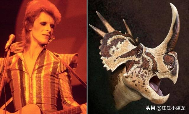 re网名的含义，Re微信昵称（2020古生物学家到底命名了多少种恐龙）