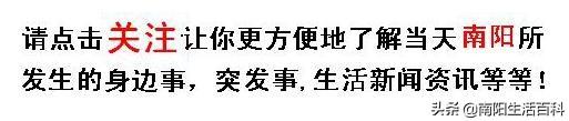 镇平县属于哪个市(镇坪县属于哪个市)