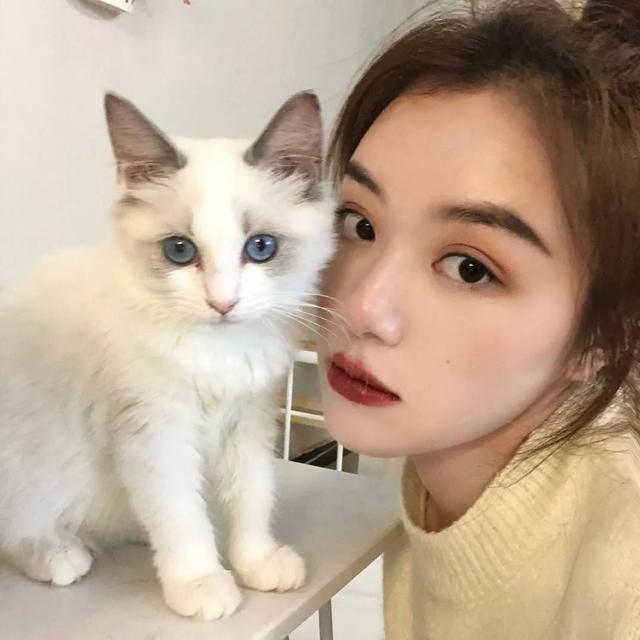 动漫女生头像   今天天气很好适合打打闹闹微信，动漫女生头像   今天天气很好适合打打闹闹，更适合亲亲抱抱（女生：可以获得漂亮并且温柔）