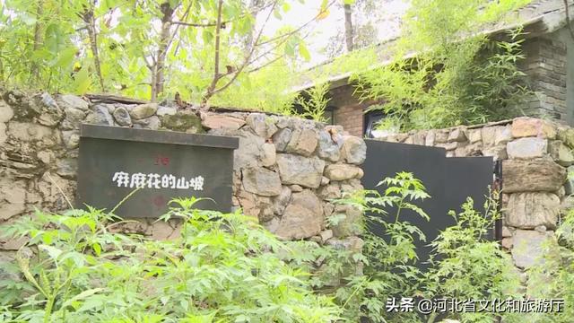 野山坡属于那个地区，野三坡旅游全攻略（野三坡的妙处，都在这里啦）