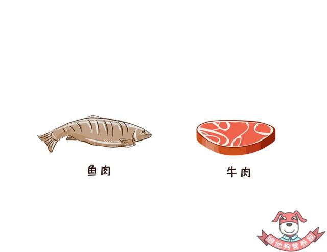 过期的醋可以吃吗，过期的老陈醋还能吃么（保质期≠最后可食用时间）