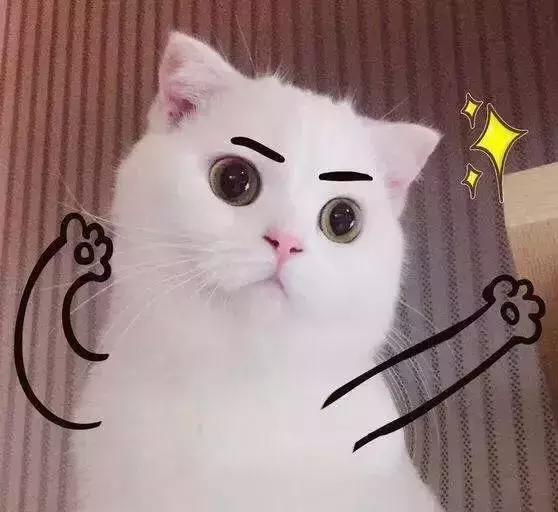 经典搞笑整蛊头像微信，经典搞笑整蛊头像（精选头像丨恶搞系列头像）