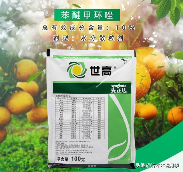 月季常见病虫害及防治方法，月季的病虫害防治（十二种月季常见病害防治教程）