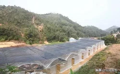  农业生产条件包括什么，改善农业生产条件 