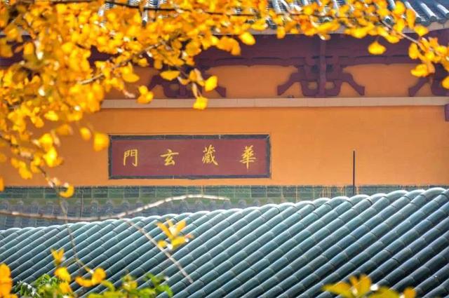 韶关云门寺，韶关云门寺图片（韶关这座色彩斑斓的古寺现在去正好）