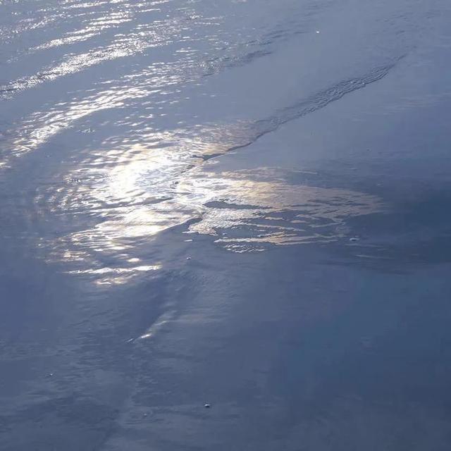 动漫帅哥美女图片，帅哥美女杂图（图王鲨鱼哥第33期33套微信头像加背景图）