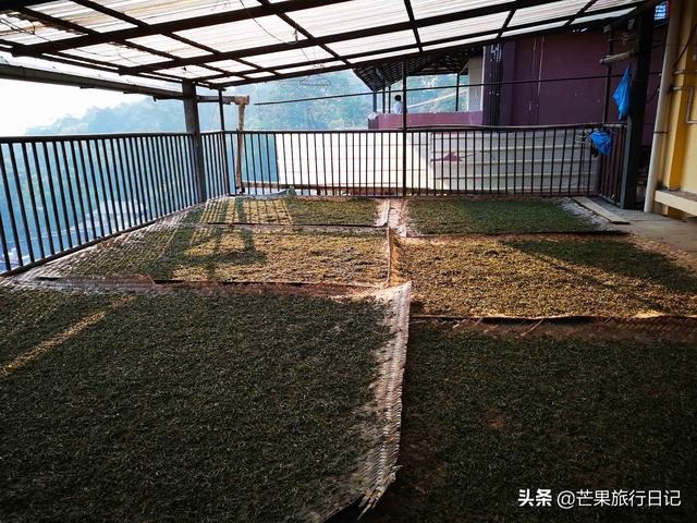 傣族分为哪几种，傣族有哪几种（云南深山有个土豪村）