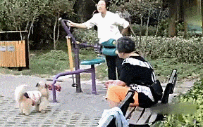 海贼王情侣头像，海贼王情头微信（盘点年度沙雕大集锦）