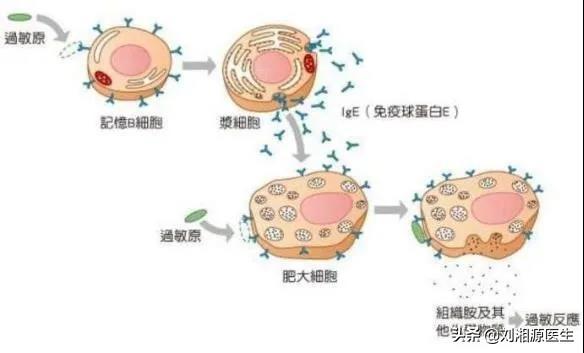 静丙离开储存温度能存活多久，静丙能维持多久（—静脉用丙种球蛋白）