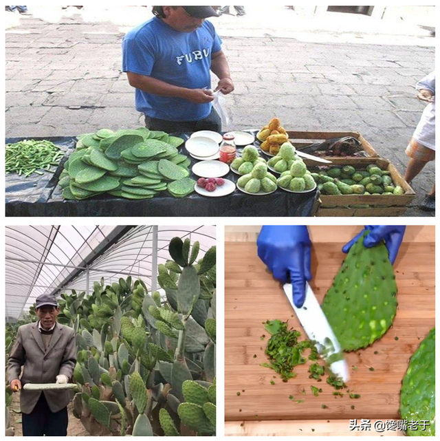 菠萝蜜怎么剥皮小窍门，如何剥菠萝蜜（公认“最难剥皮的6种水果”）