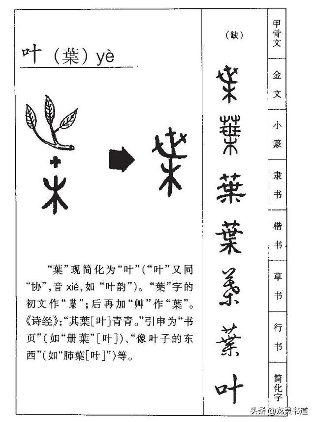 汉字叶的拼音，叶的拼音（千字文——叶）
