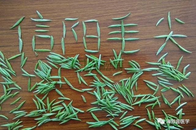 毛尖茶的种类及功效，中华茶文化——信阳毛尖