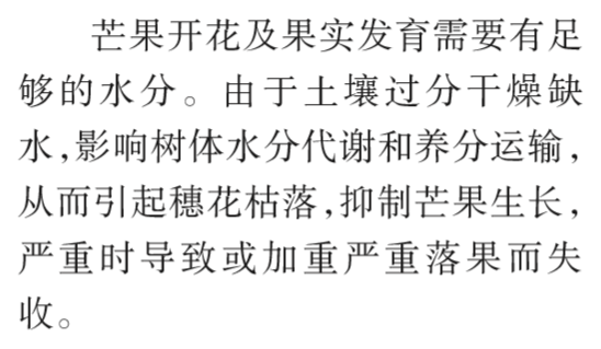 象牙芒果怎么样才是成熟，象牙芒果怎么看熟不熟（芒果保果拉长问题及解决方案）