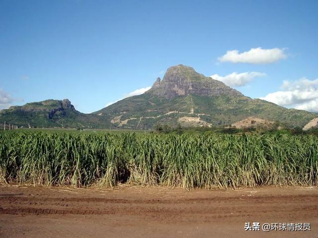 毛里求斯为何印度人多，毛里求斯：离印度4000公里