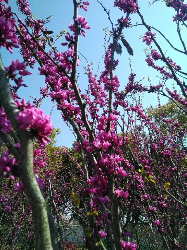 小学生常用对联，小学生用的对联（小学生，青年人）