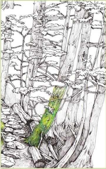 马克笔绘画教程风景画，马克笔绘画教程入门（适合初学者学习的彩铅风景画步骤教程）