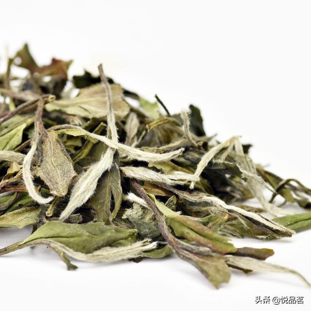 什么茶属于白牡丹，白牡丹属于啥茶（白牡丹是红茶还是绿茶）