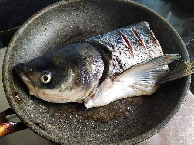 家常胖头鱼炖豆腐，豆腐和鱼是绝佳搭档