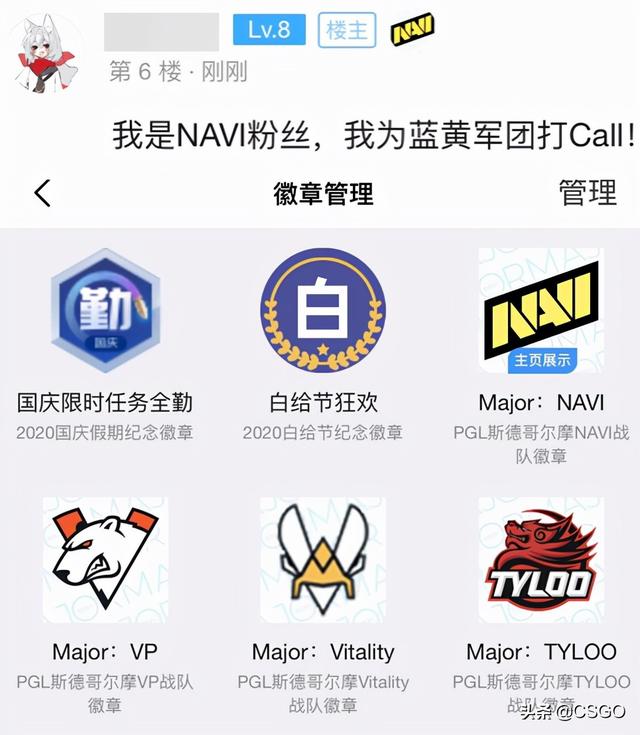 简洁的英文战队名字，英语战队名字大全 唯美（CSGO斯德哥尔摩Major印花胶囊、通行证以及全新战队布章上线）