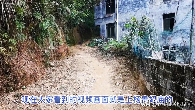 杨贵妃是哪里人，杨贵妃是哪里人,今为哪个省（山西陕西四川河南表示不服）