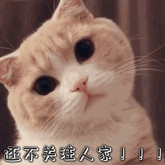 中国城市拟人化，国风城市拟人化（内蒙古的小伙伴来取图啦～～古风城市拟人大全）