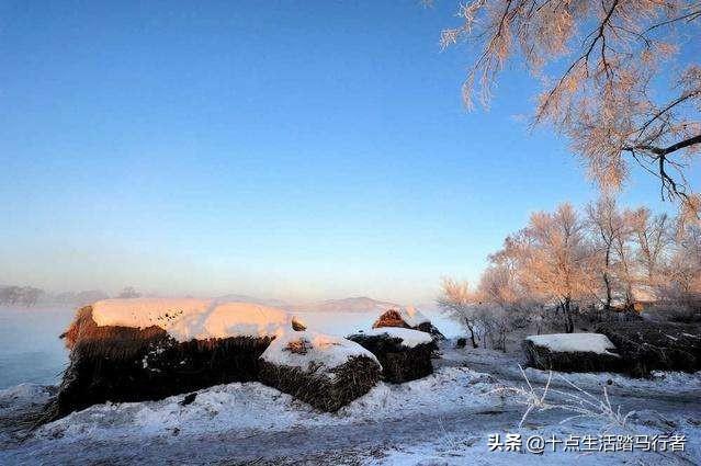 吉林雾凇景色奇特三九严寒，冰天雪地中的美景——吉林雾凇