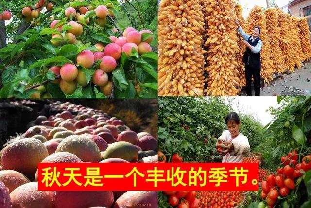 四季有什么特点，北方的四季有什么特点（部编版一年级上册第4课《四季》图文讲解）