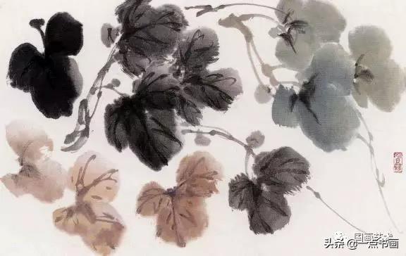 金凤花，萧朗教你画花卉——牵牛花画法（金凤花效应）