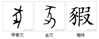 豕怎么读（“猪”与“家”的汉字演变与文化内涵）