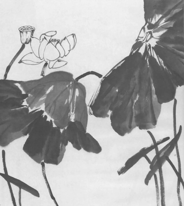 水墨画初学者入门教程，水墨画入门教程（图文教程：画水墨荷花）