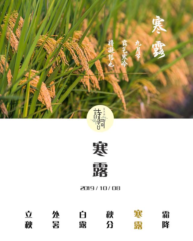 空庭得秋长漫漫寒露入暮愁衣单什么意思，秋来寂寞空满庭（寒露：露寒凝霜，已至深秋）