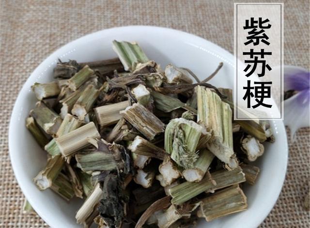 苏子叶是什么树的叶子，苏子叶是什么树的叶子在花盆里能种吗（紫苏叶、苏梗、苏子）