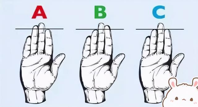 哪个是无名指和食指图，人的手五个指头分别叫什么（“无名指”比“食指”长的孩子更聪明）