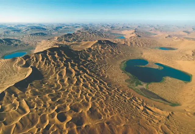 青苔和苔藓的区别图片，青苔怎么养才茂盛（上岸后，就傻傻不再进化的苔藓）