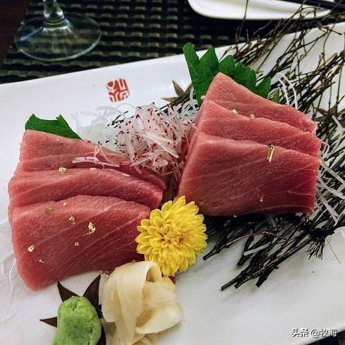 白金枪鱼是什么鱼，白金枪鱼和红金枪鱼哪个贵（天价蓝鳍金枪鱼及其背后的秘密）