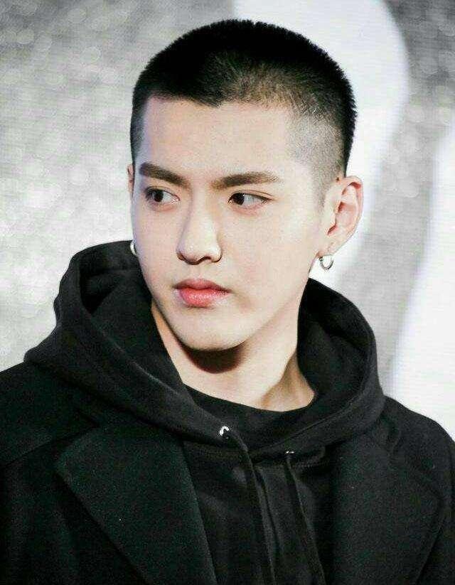 栗子头和寸头有什么区别,栗子头跟寸头有什么区别(今