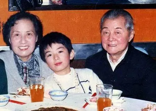 黄奕主演过的电视剧，黄奕演的电视剧（“小燕子”黄奕的幸运成名史）