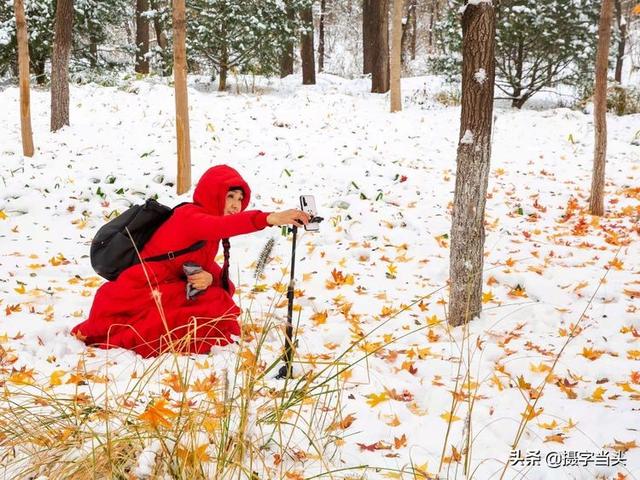 情侣唯美雪景图片，情侣唯美雪景图片真实（冬日初雪印象：一半冬雪）