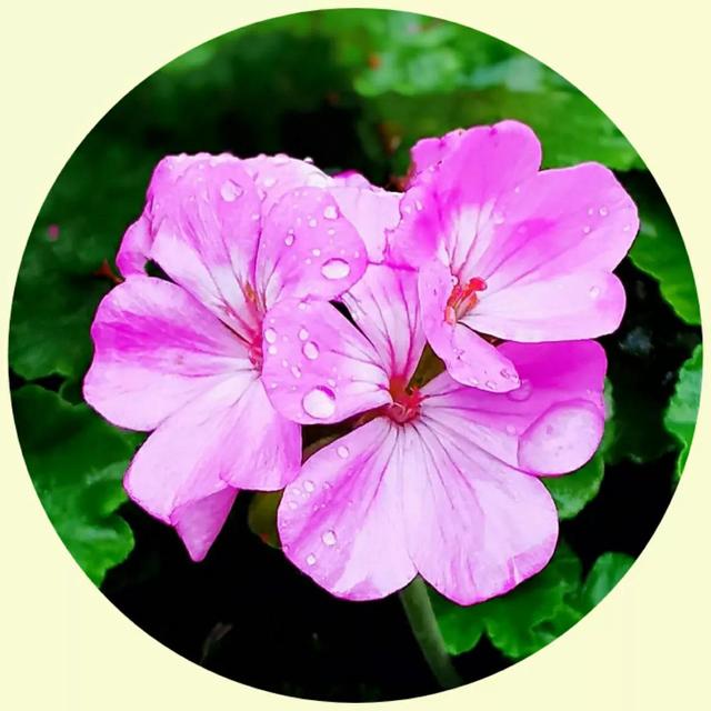 风景照片图片大全，微信头像，风景照片图片大全（令人心旷神怡的美景）