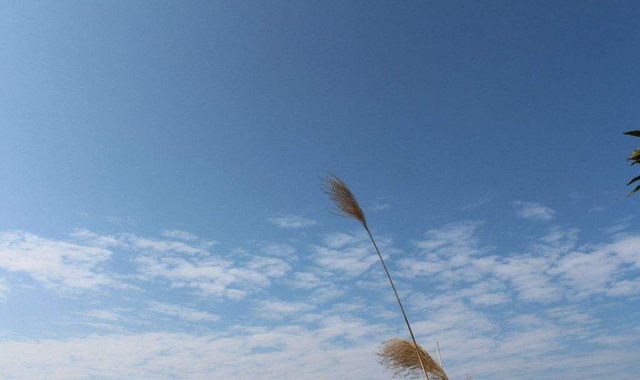 阴天用英语怎么说，今天是阴天用英语怎么说（这些谈论天气的英语都得掌握）