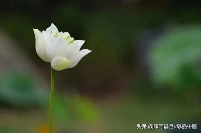 刮痧是伤气还是补气，拔罐是伤气还是补气（中暑的中医急救）