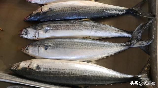 大鲅鱼怎么收拾干净详细步骤，大鲅鱼怎么清理（一次准买好几斤）