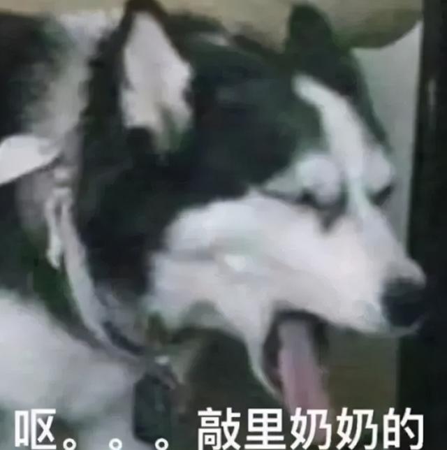 泪奔与泪崩的区别，表情包：泪崩了