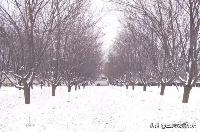 三原县南郊中学，陕西三原县有哪些高中（一半都藏在了南郊中学和北城中学）