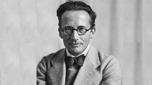 薛定谔的网络意思，网络用语薛定谔是什么意思（拉普拉斯兽和薛定谔的猫）