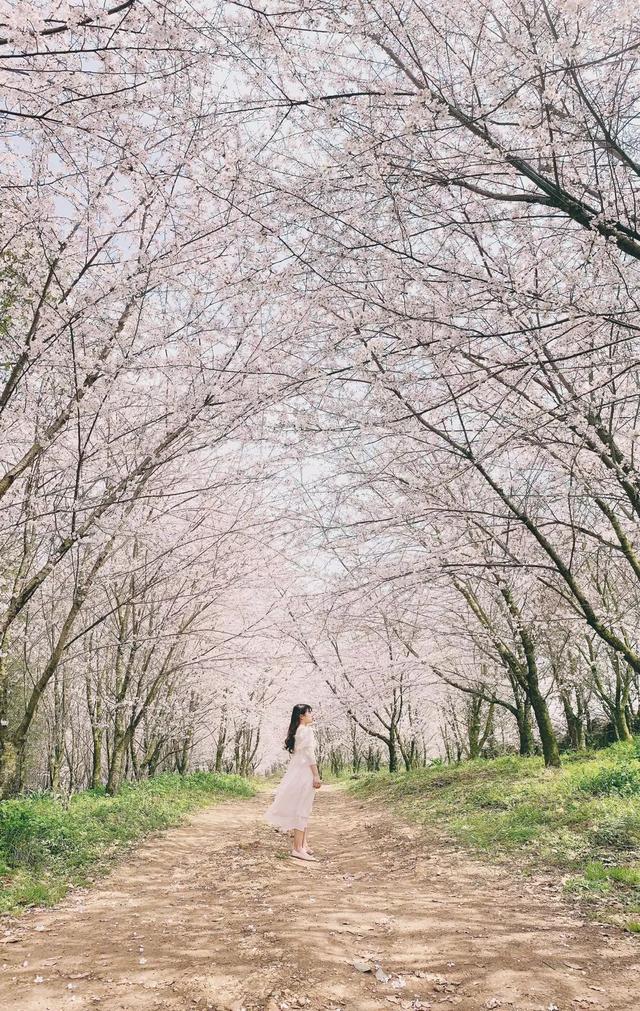 iphone拍照有哪些功能，iPhone手机的自带相机操作完全指南