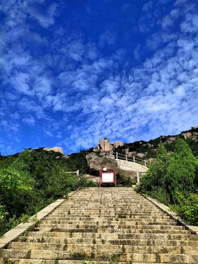 松树的作用,将军山之松树林(松树皮的功效与作用)