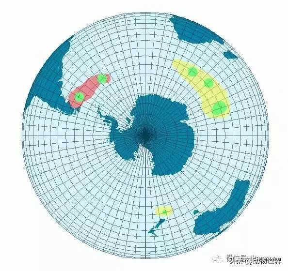企鹅都有哪几种分别生活在哪里呢，企鹅都有哪些（详解世界上的18种企鹅<一>）