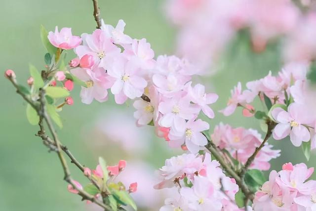 婚外情有真爱吗?会长久吗，婚外情能长期维持吗（婚外有真爱？别扯）